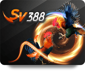 H19 Casino Royal: Địa điểm giải trí lý tưởng tại Việt Nam